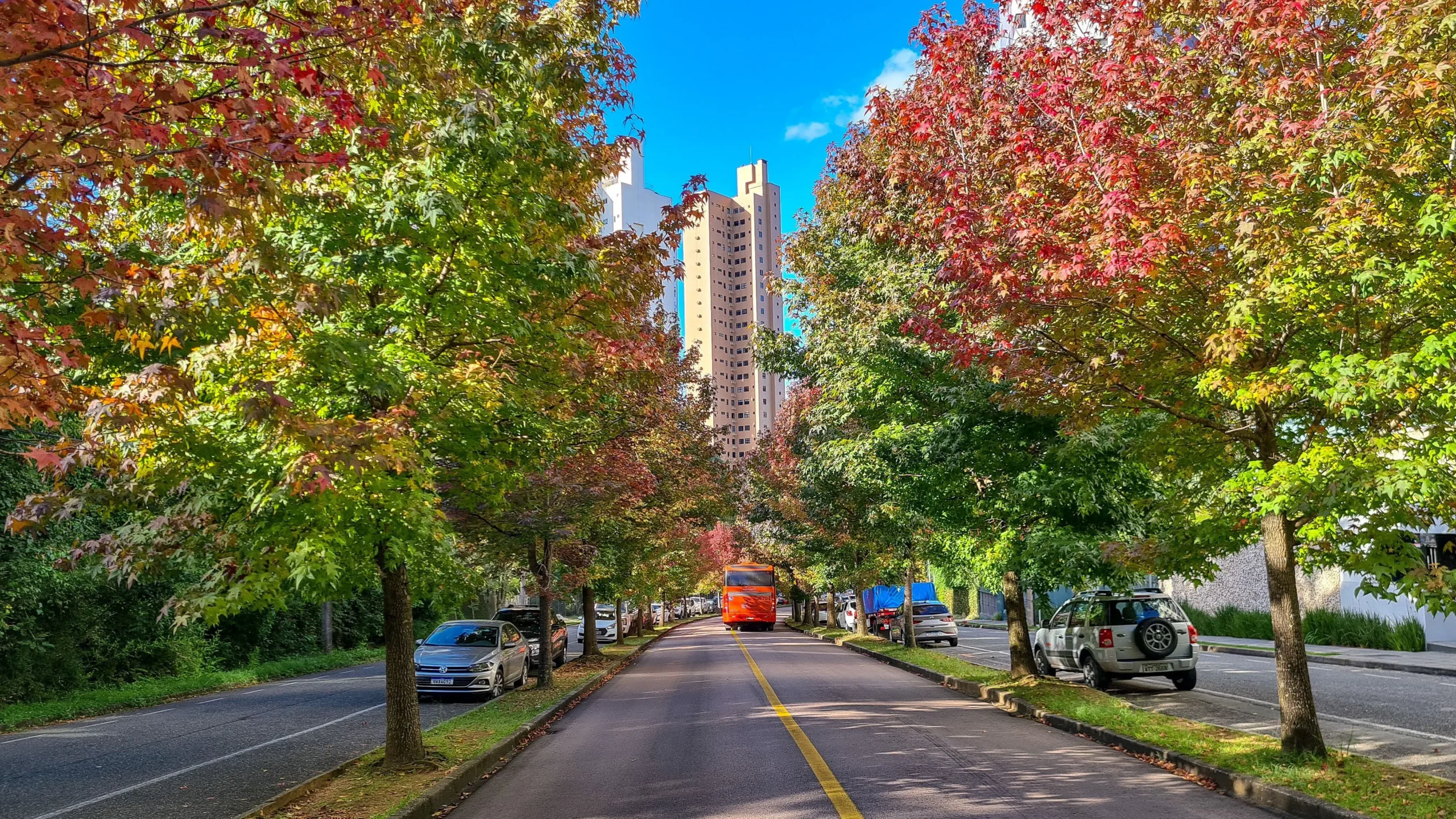 Equinócio de Outono: rituais para renovar sua energia agora
