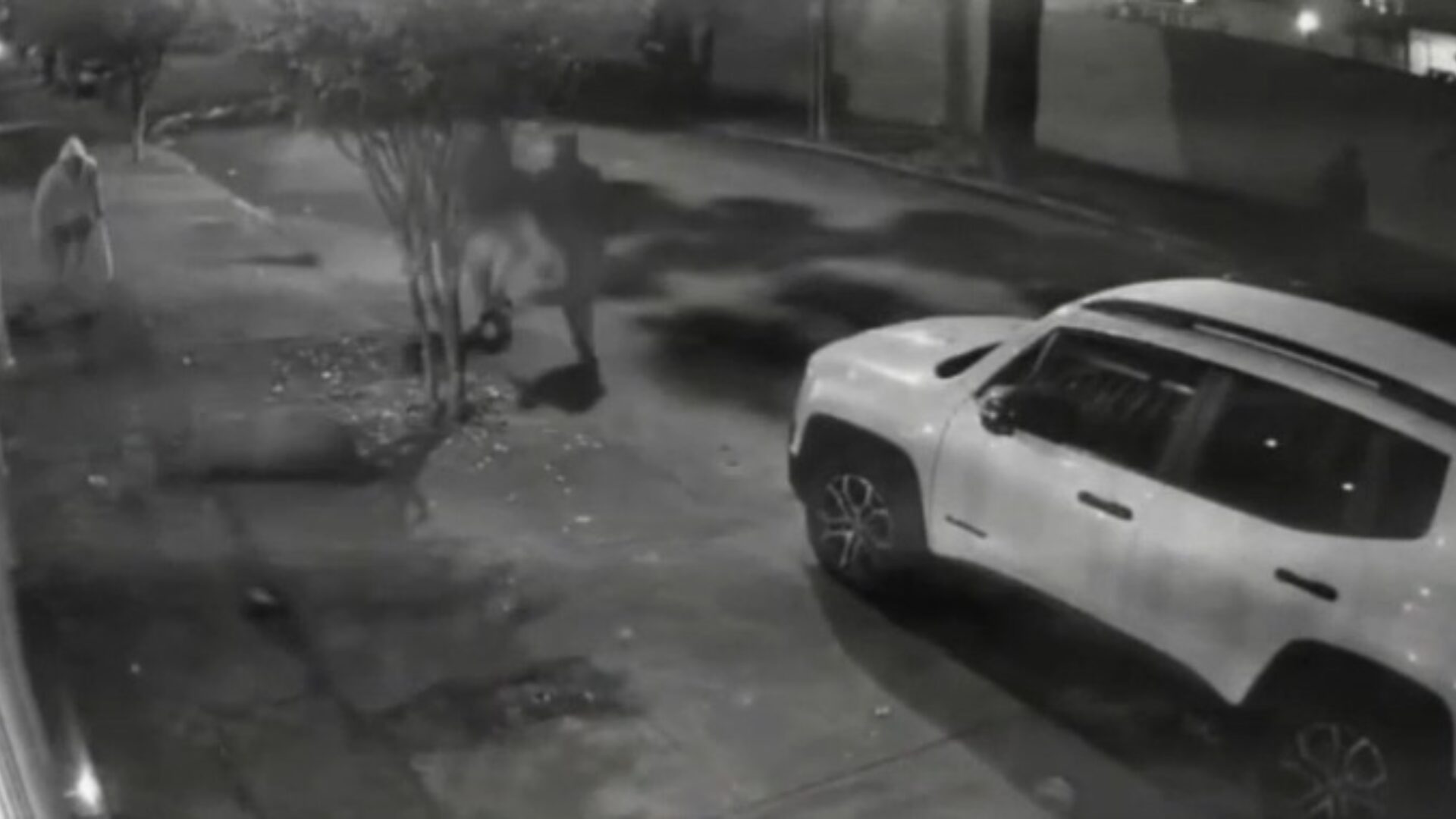 Seis homens são presos após atacarem capivara no Rio