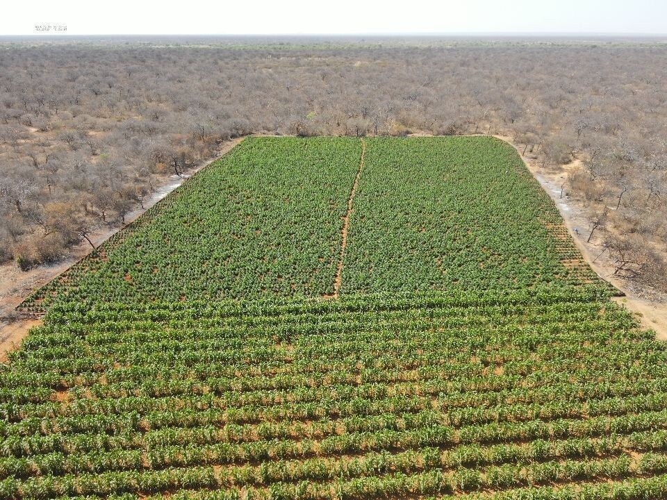 Operação mira tráfico de armas e drogas do Comando Vermelho em seis estados