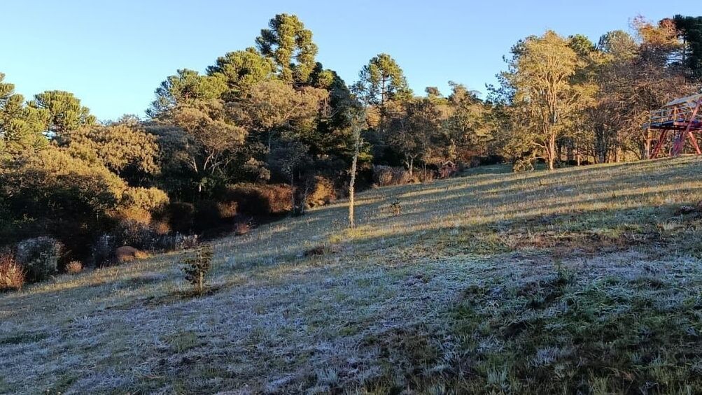 Campos do Jordão amanhece com geada e clima fresco revigorante