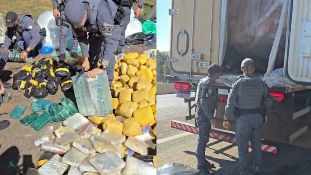 Quase 500 kg de drogas avaliadas em R$ 10 milhões apreendidas em SP