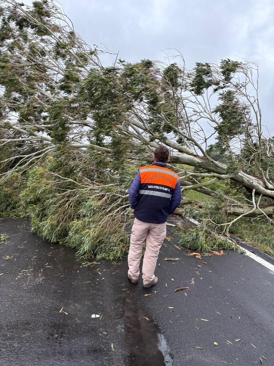 Formação de ciclone intensifica temporais no Sul e traz alertas