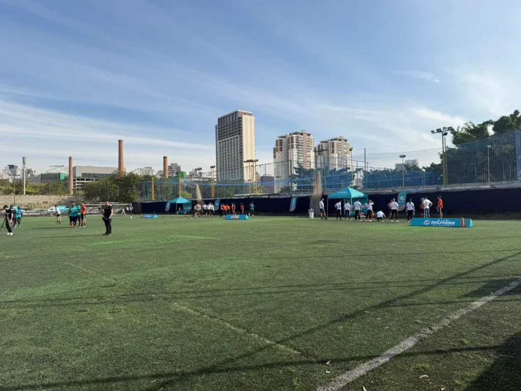 Dolphins quer jogar no Brasil? Conheça os planos aprovados!