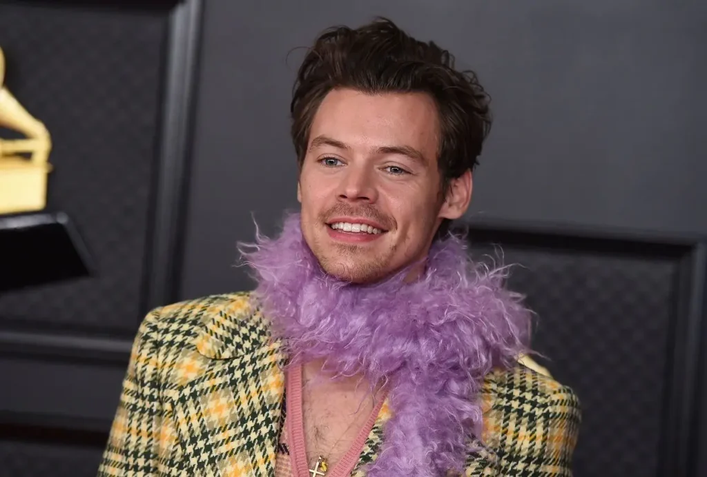 Harry Styles em SP: fã viaja 18h de ônibus para show incrível