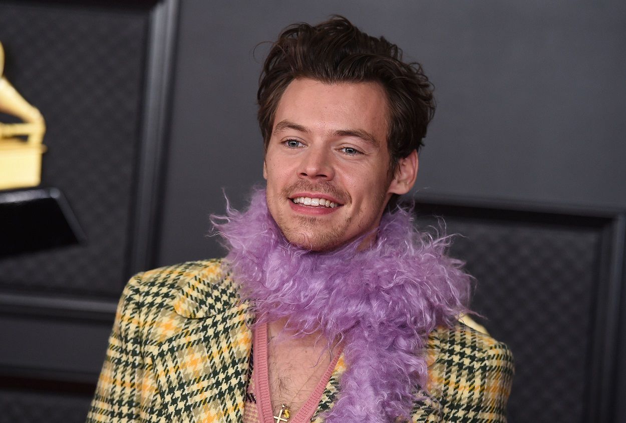 Harry Styles em SP: fã viaja 18h de ônibus para show incrível
