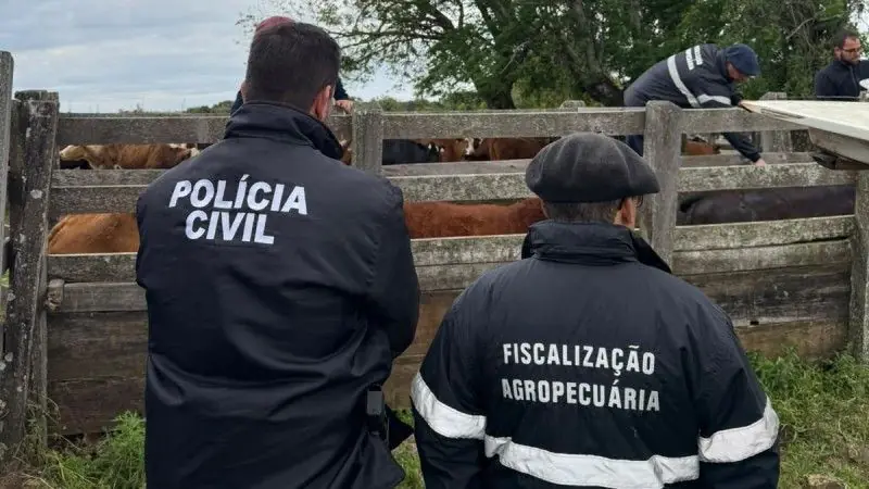 Golpe desvia 2,3 mil cabeças de gado no RS e gera crise