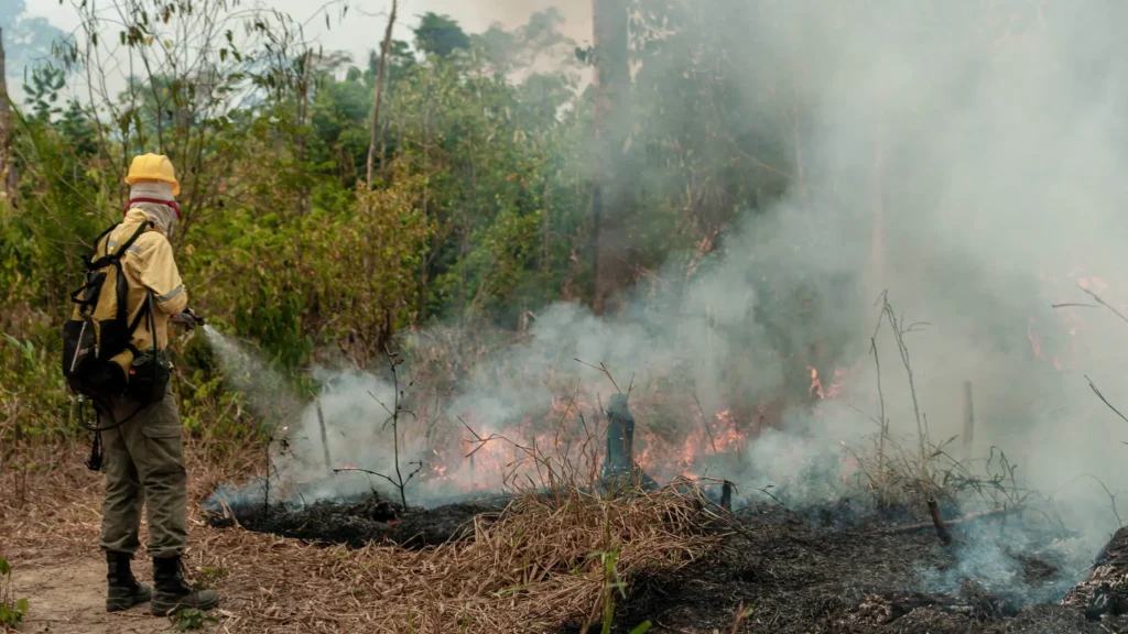 Foco de calor na Amazônia aumenta 60%: impacto ambiental urgente