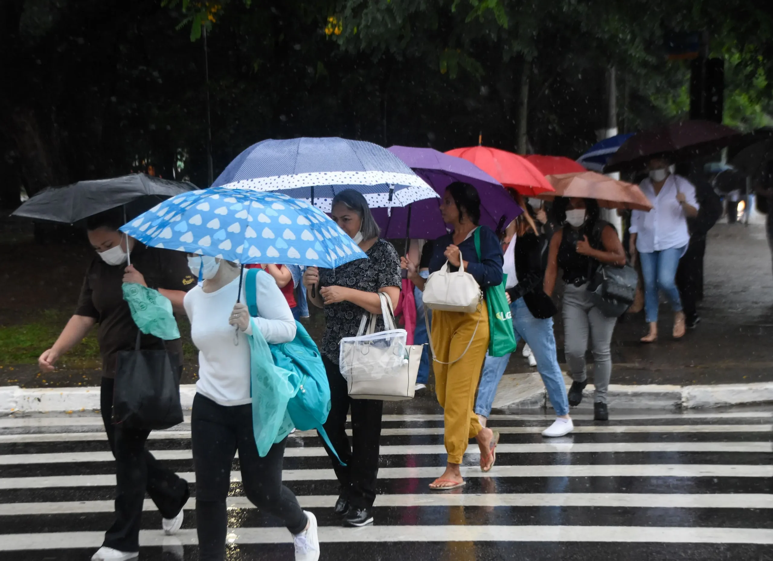 SP tem alerta laranja de perigo para tempestades neste domingo